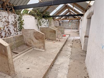 Picture 24